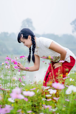 天天在线综合平台首页展示